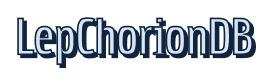 Chorion Lepidoptera DataBase
